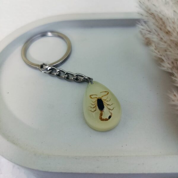 Glow in dark scorpion keychain