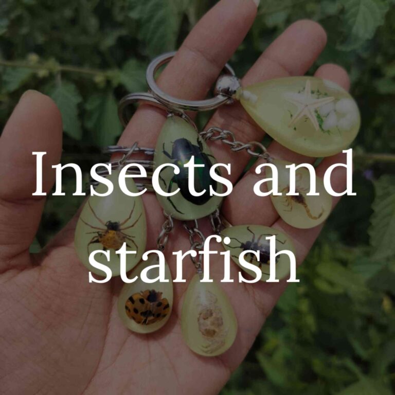 Insects and starfish – Resin Jewelry with Insects and Starfish | DezArt