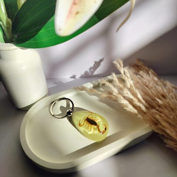 Glow in dark real scorpion keychain (brown)