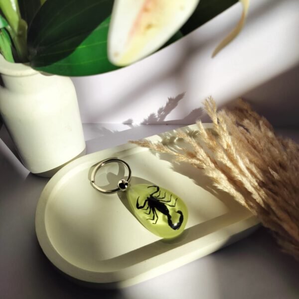 Glow in dark real scorpion keychain