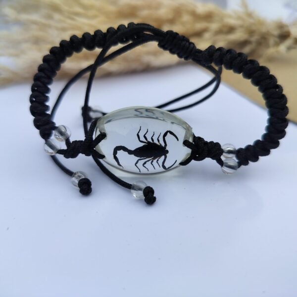 Real scorpion cristal clear adjustable bracelet