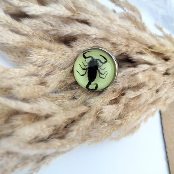 Real scorpion glow in dark ring (black scorpion) Stainless steel with adjustable