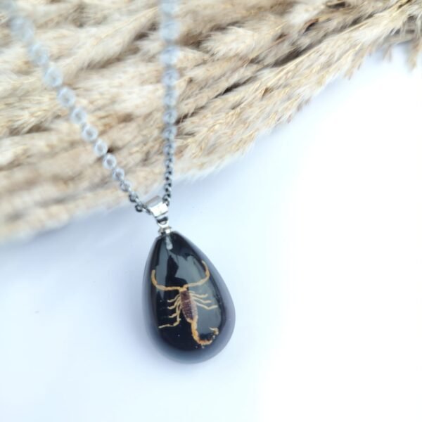 Real scorpion pendant with adjustable anti-tarnish chain