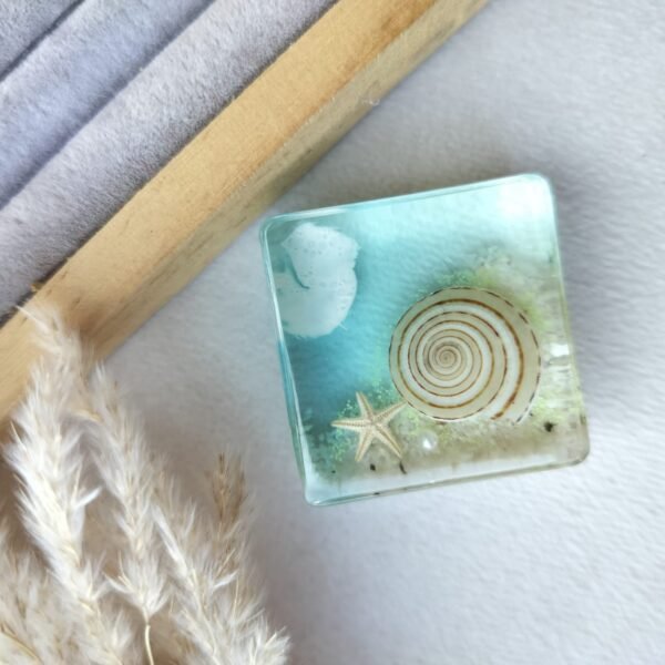 Glow-in-dark seashore small paper weight with real snail and Starfish